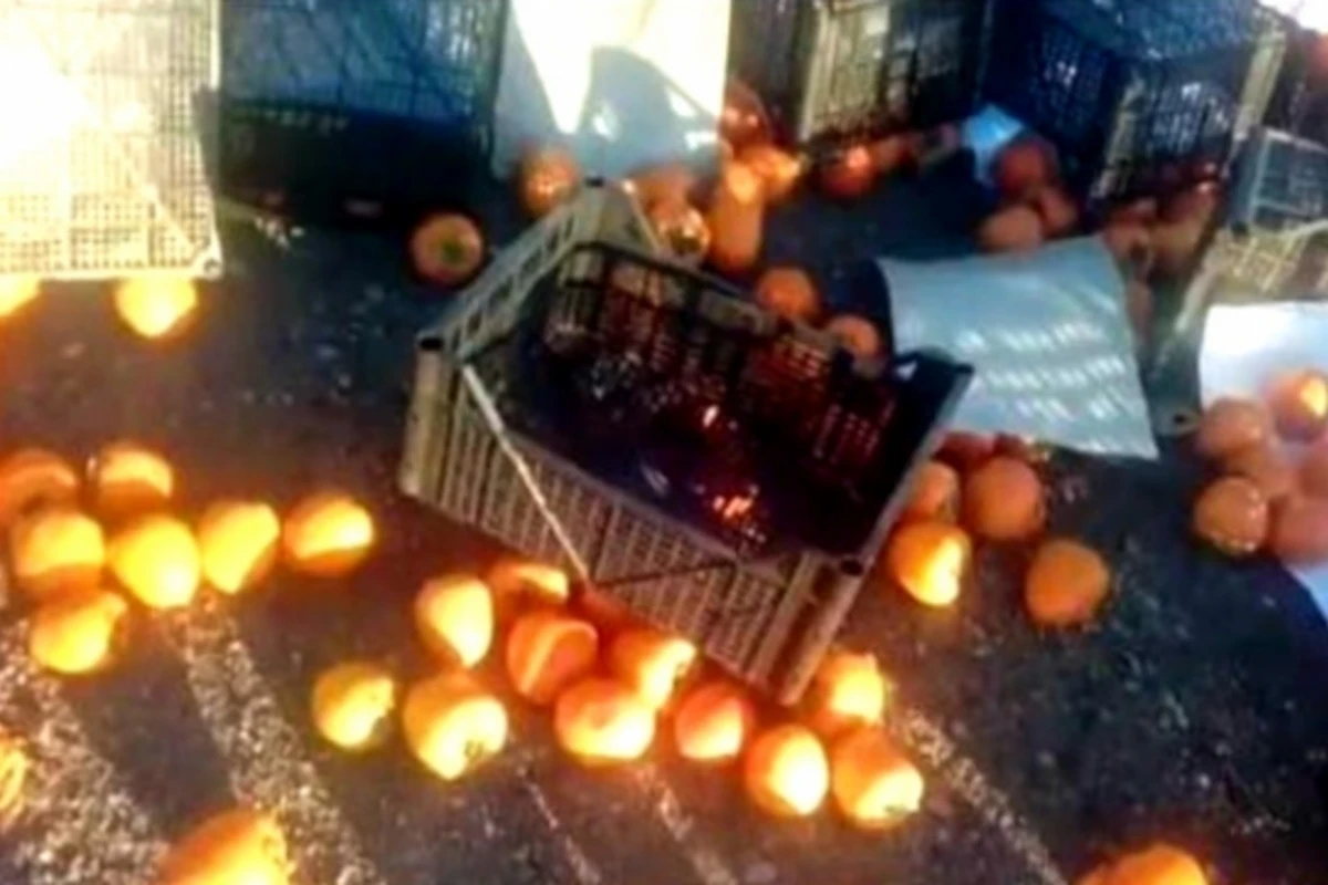 Bakı-Quba yolunda maşın aşdı – 20 ton xurma yerə töküldü – FOTO
