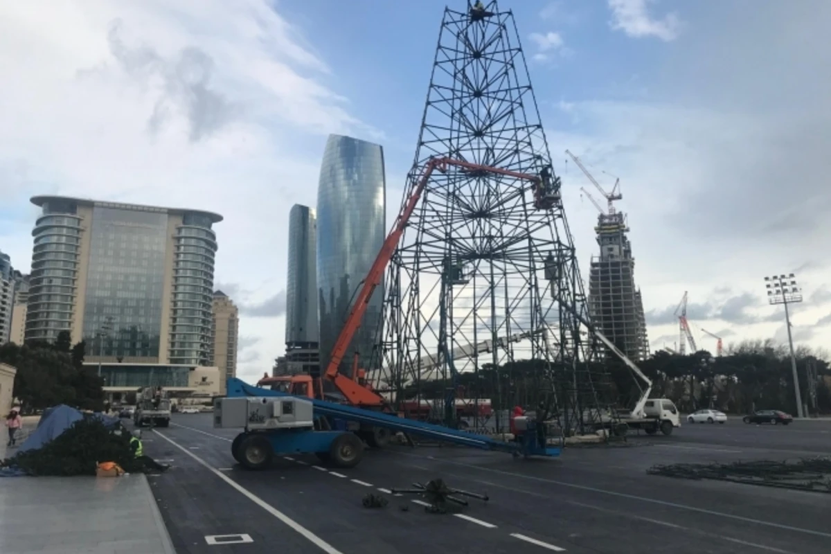 В Баку устанавливают елку высотой в 37 метров - ФОТО