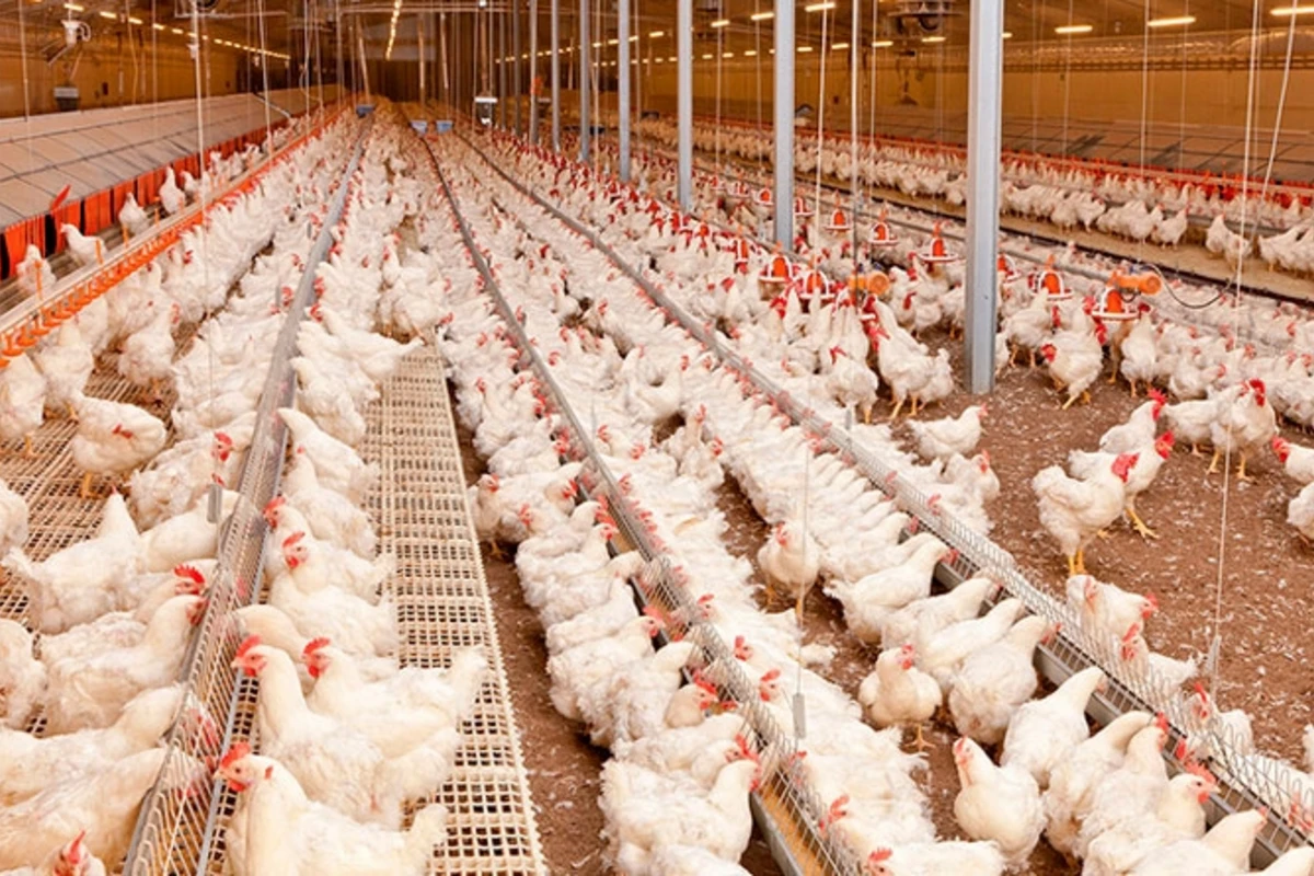 ПРЕДУПРЕЖДЕНИЕ населению: Ввезенные из Ирана эти продукты...