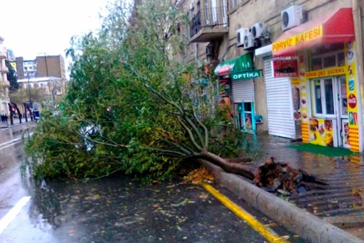 ПРЕДУПРЕЖДЕНИЕ ИВ Баку в связи с сильным ветром