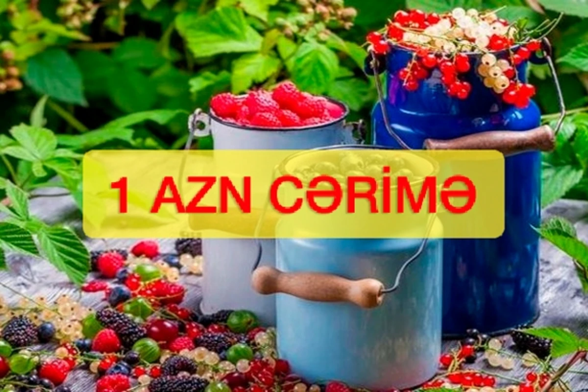 Azərbaycanda meşələrdən meyvə yığanlar 1 manat CƏRİMƏLƏNƏCƏK