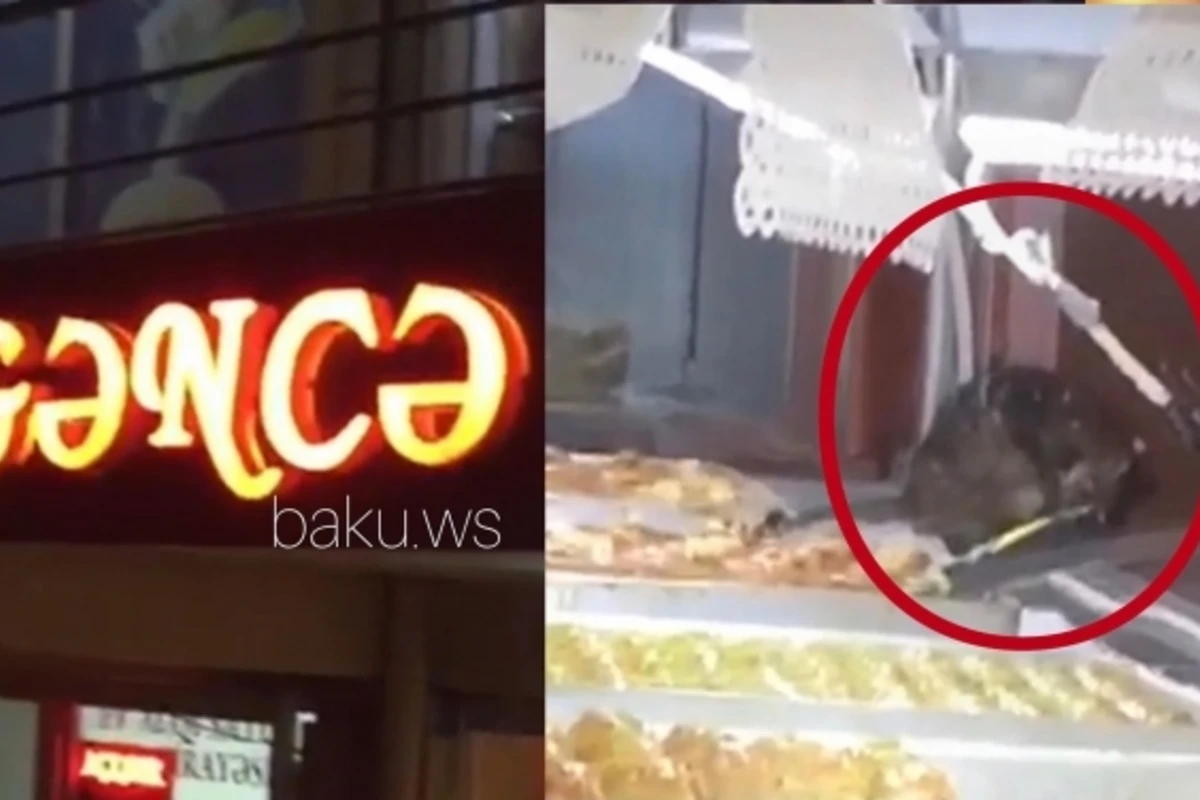 Антисанитарные условия в Gəncə Cake House: крыса на сладостях - ВИДЕО