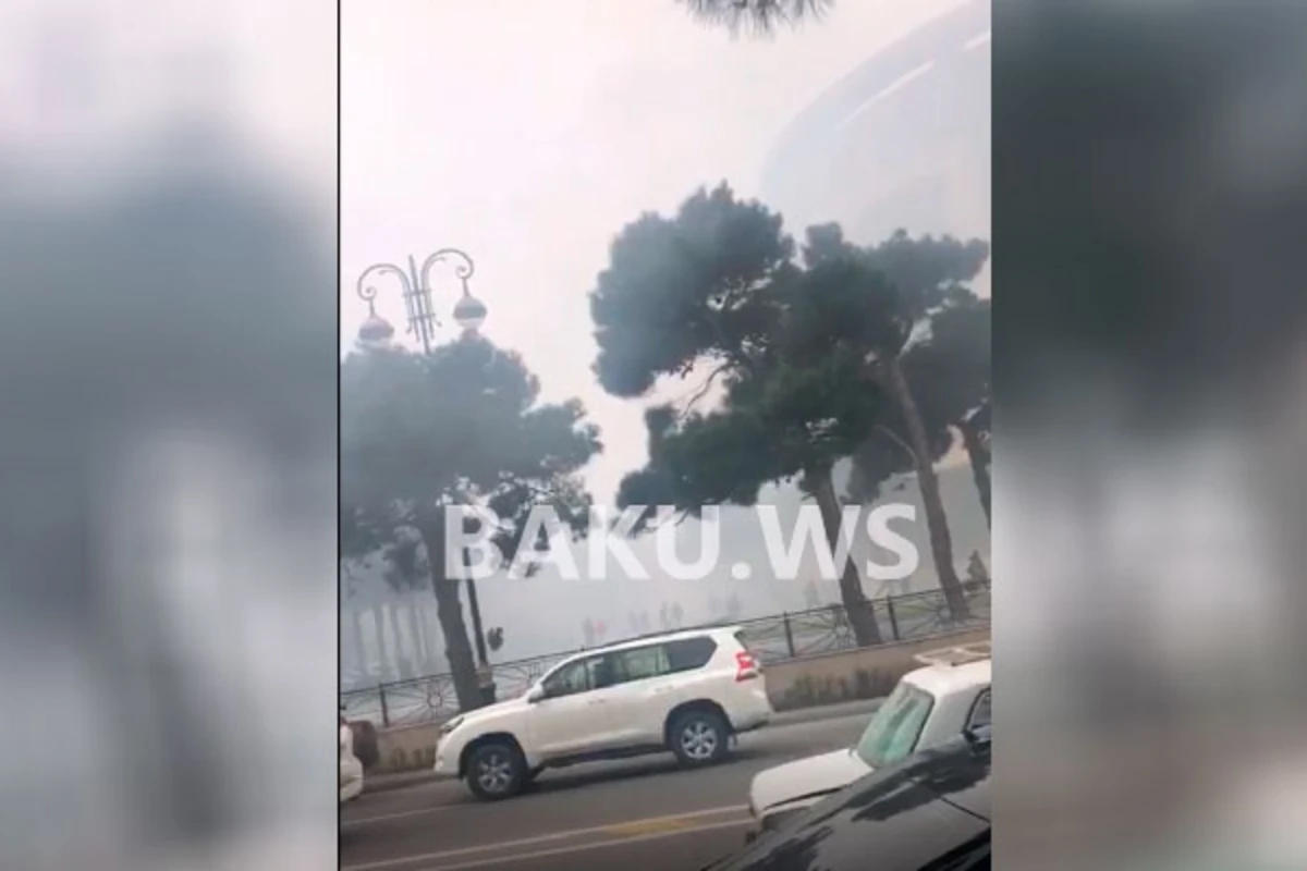 Bakıda 20 nömrəli məktəbin ətrafında yanğın – həyəcanlı anlar (VİDEO) Bakıda 20 nömrəli məktəbin ətrafında yanğın – həyəcanlı anlar (VİDEO)