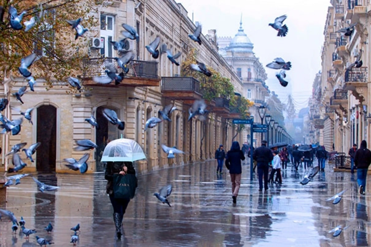 Прогноз погоды на завтра