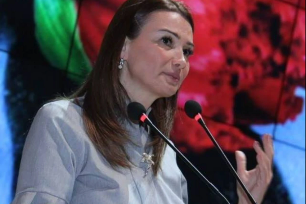 Qənirə Paşayeva Elinadan yazdı