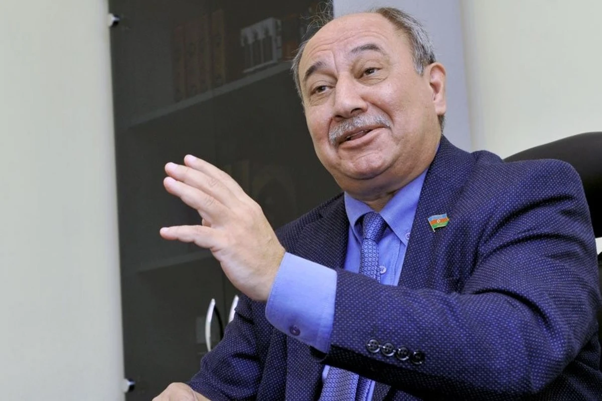 Депутат Араз Ализаде: Необходимо истребить всех бездомных собак