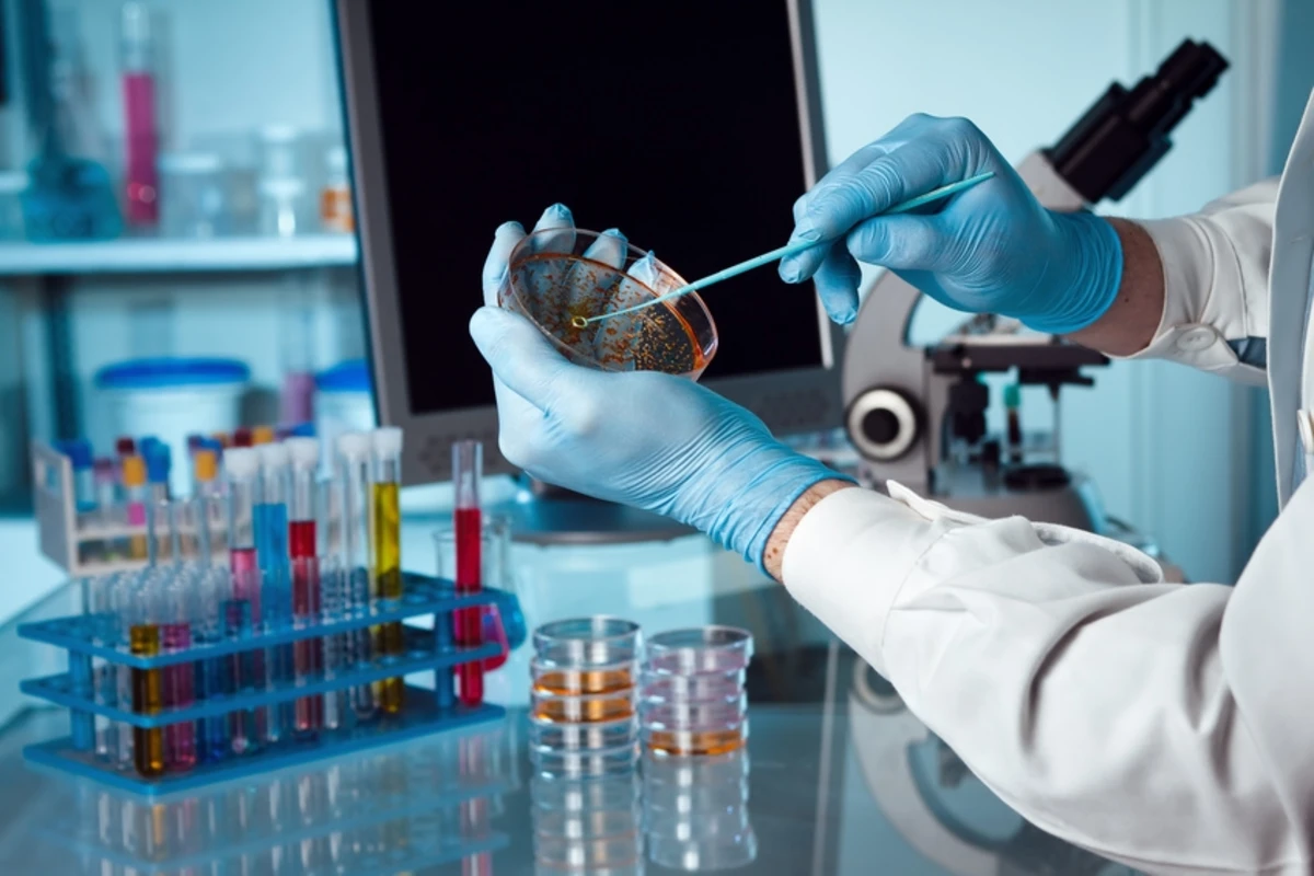 Azərbaycanda yeni laboratoriyalar yaradılacaq Azərbaycanda yeni laboratoriyalar yaradılacaq
