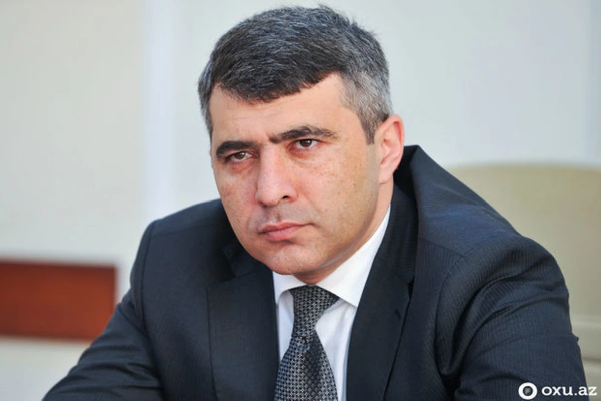 İnam Kərimov: Əli İnsanovun yerinə başqası olsaydı, özünü asardı - VİDEO
