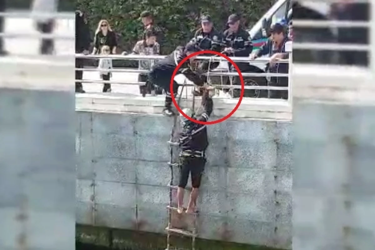 В Баку сотрудники МЧС спасли упавшую в море кошку - ВИДЕО 