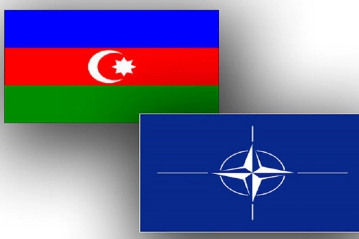 Azərbaycanla NATO arasında əməkdaşlıq müzakirə edilib