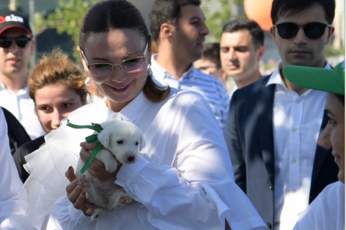 Qənirə Paşayeva “Toplan”dakı bir itə sahib çıxdı Qənirə Paşayeva “Toplan”dakı bir itə sahib çıxdı