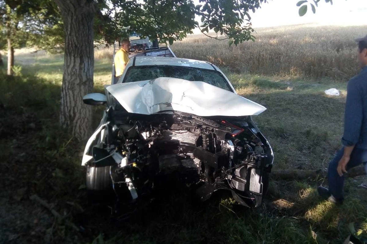 В Азербайджане автомобиль врезался в дерево, двое погибли
