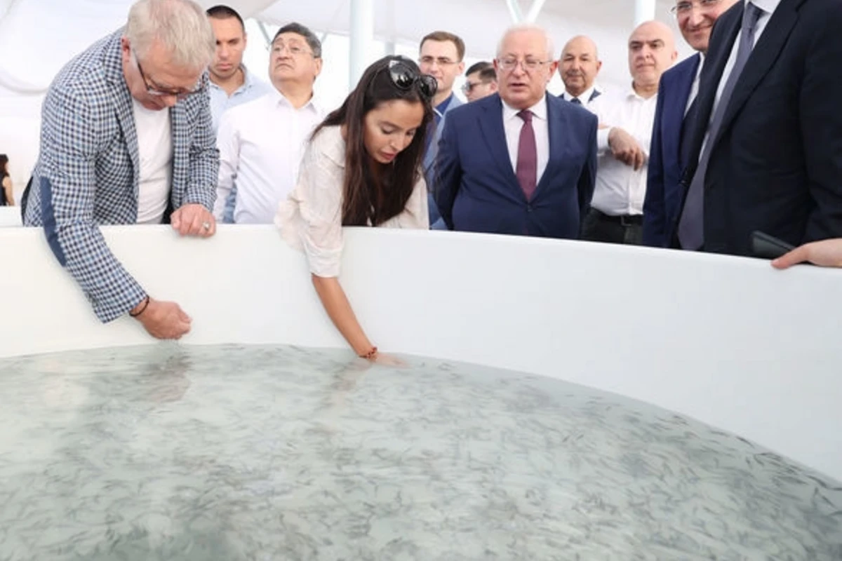 Лейла Алиева на церемонии выпуска мальков осетровых в Каспий - ФОТО