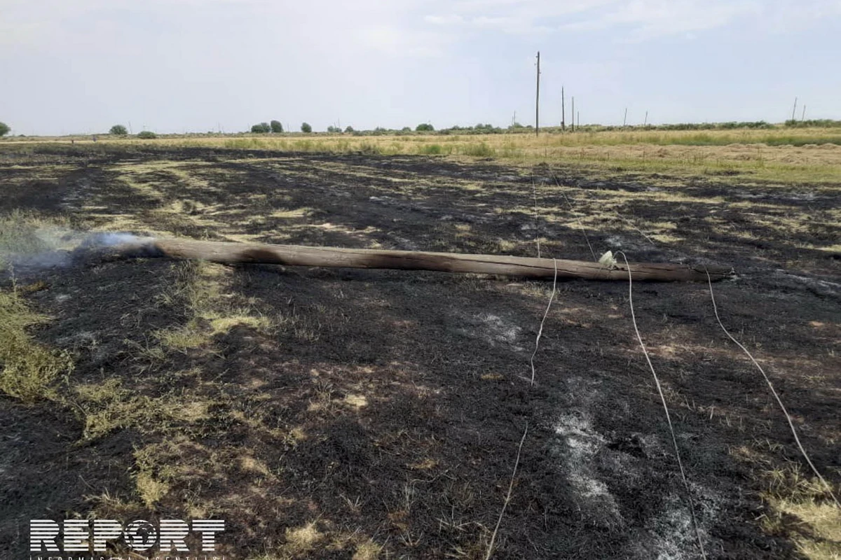 В Кюрдемире рухнул электрический столб, сгорело зерновое поле - ВИДЕО