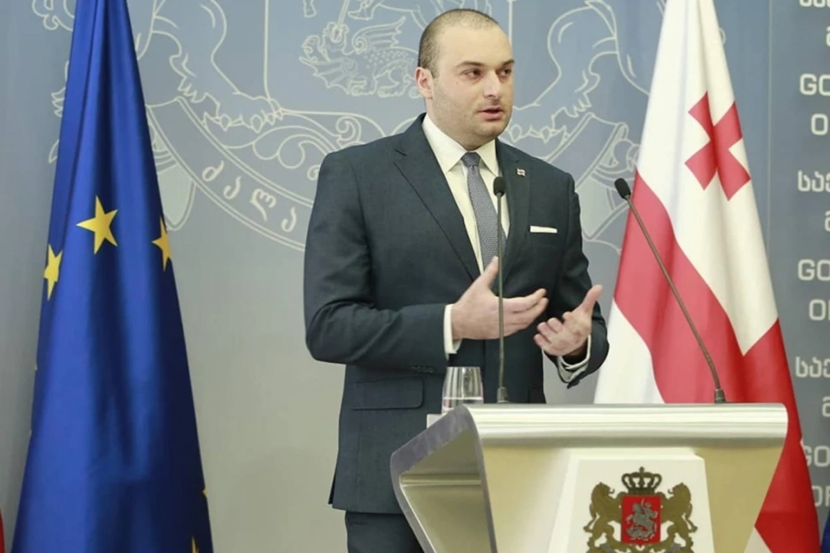 Baxtadze: Polisin qanuni güc tətbiq etməkdən başqa yolu olmayıb