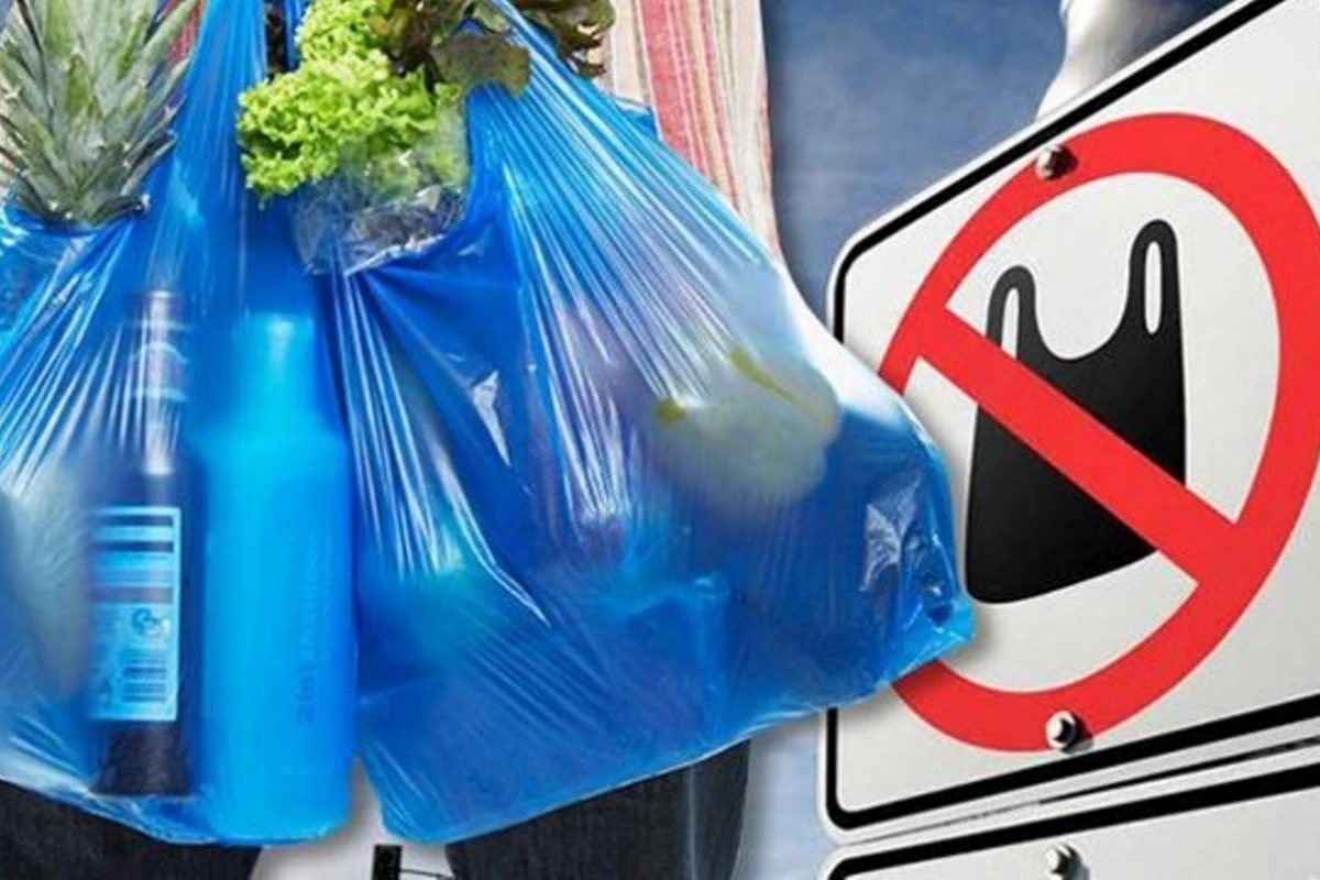 Daha bir ölkədə plastik paketlər qadağan edildi