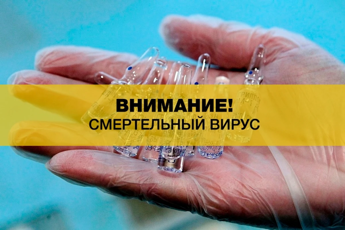 В мире появился неизвестный смертельный вирус