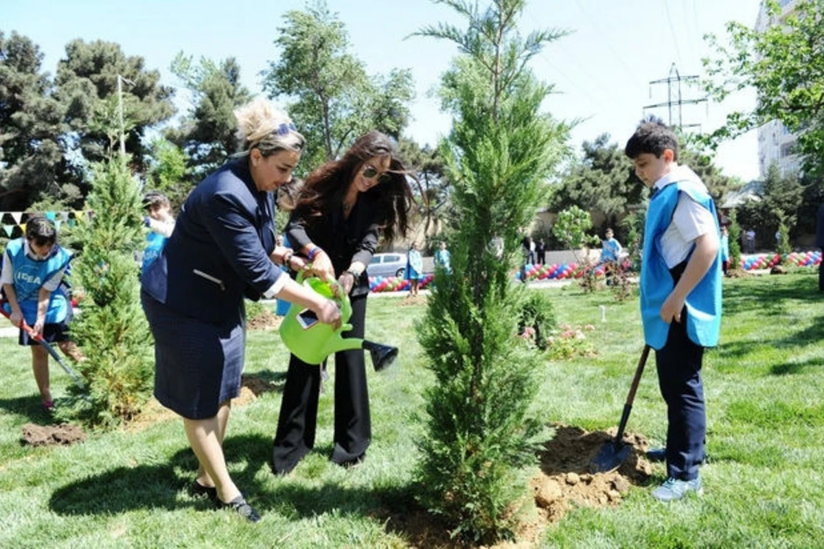Bakıda daha bir həyət abadlaşdırıldı: Leyla Əliyevanın təşəbbüsüdür - FOTO Bakıda daha bir həyət abadlaşdırıldı: Leyla Əliyevanın təşəbbüsüdür - FOTO