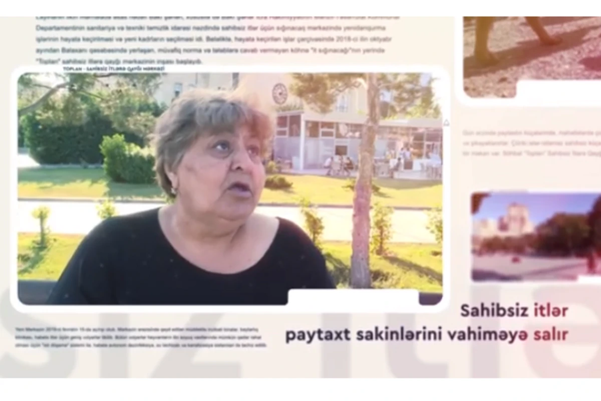 Çox qorxuruq, axırda xəstəlik tapacağıq - Bakı sakinləri vahimə içində - VİDEO Çox qorxuruq, axırda xəstəlik tapacağıq - Bakı sakinləri vahimə içində - VİDEO