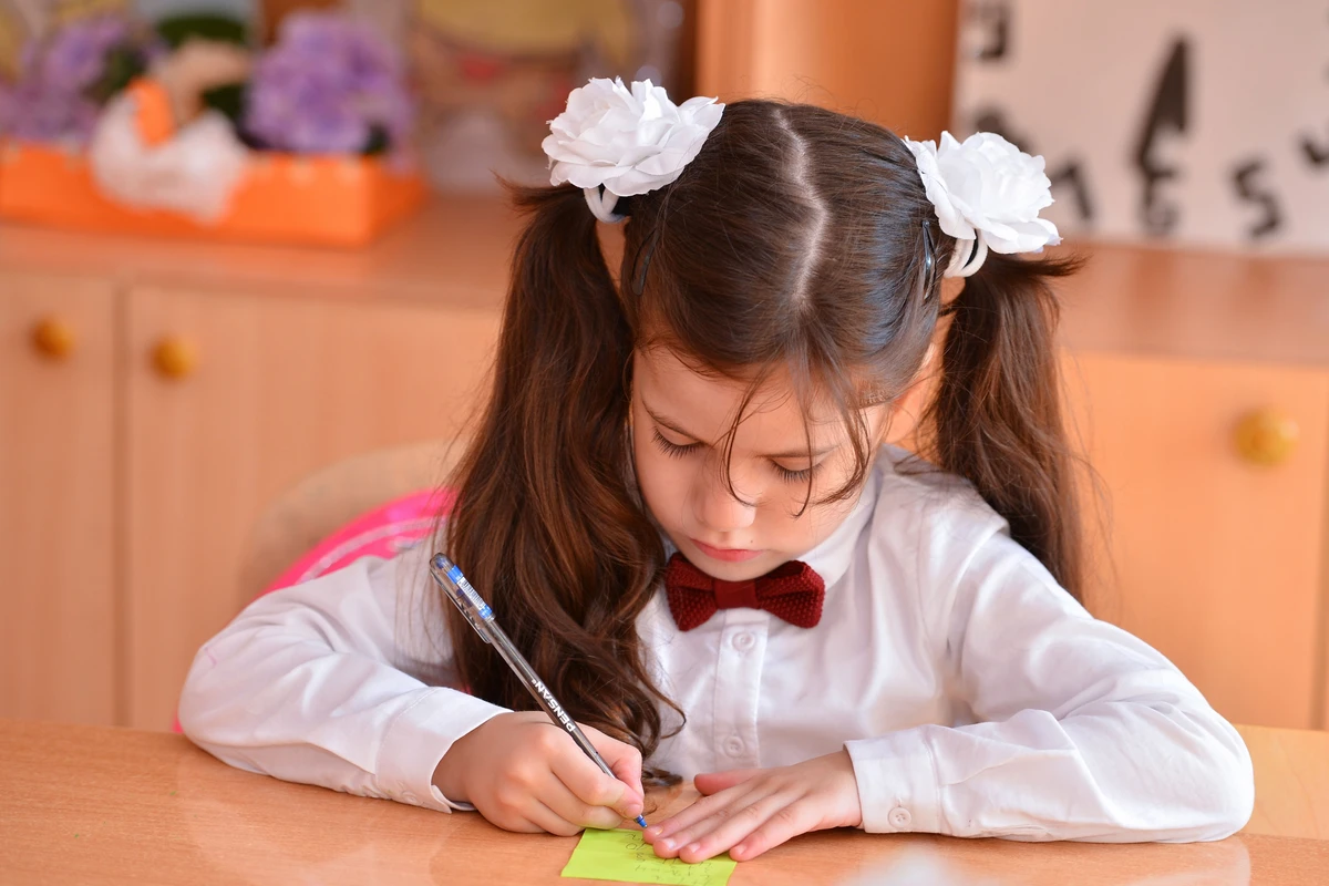 Birinci sinfə qəbul üçün 45 395 sorğu yerləşdirilib Birinci sinfə qəbul üçün 45 395 sorğu yerləşdirilib