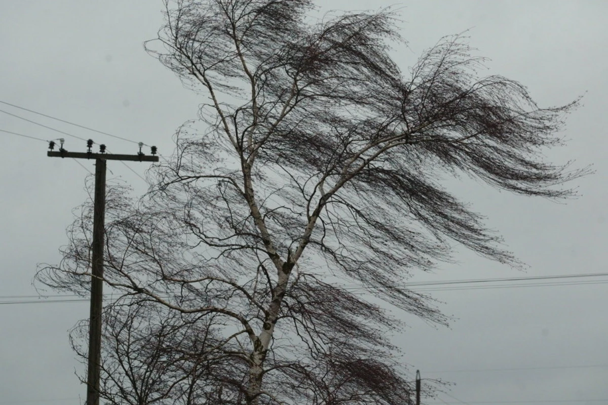 Сильный ветер нанес серьезный ущерб домам в Товузе и Агстафе - ФОТО