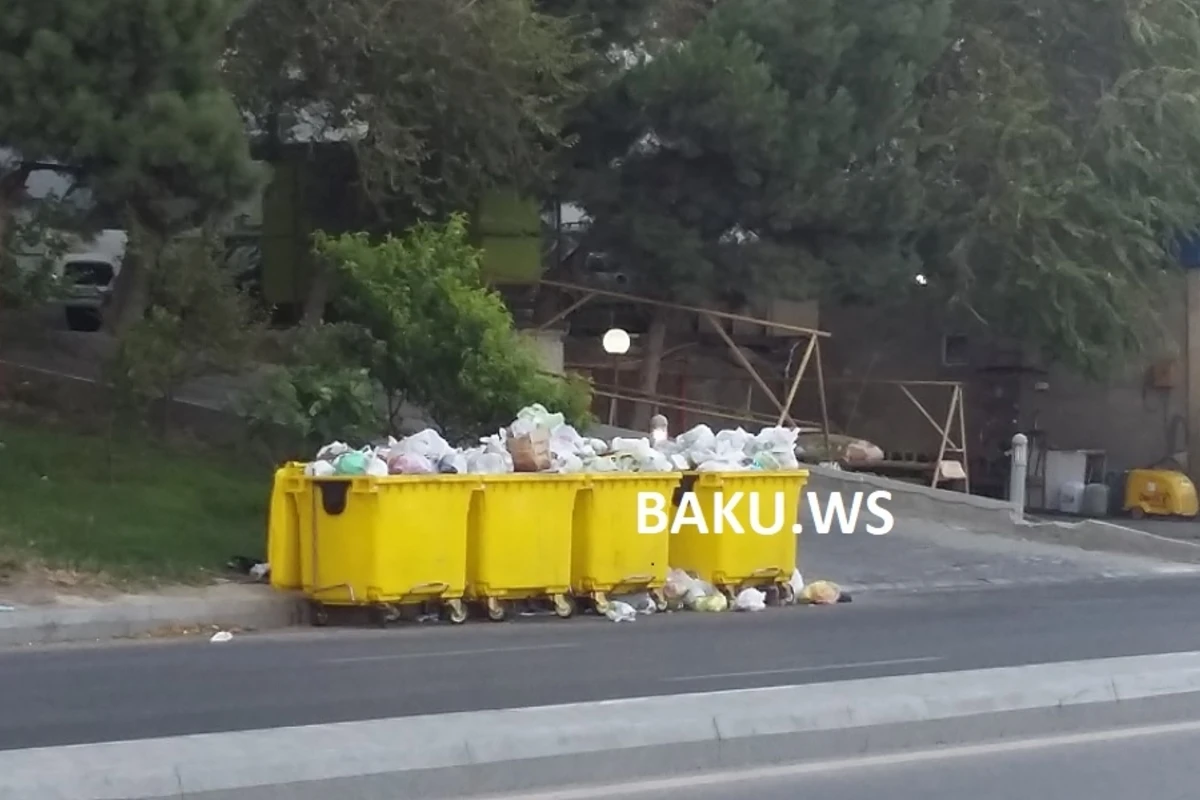 Bakının “zibil” dərdi – VİDEO