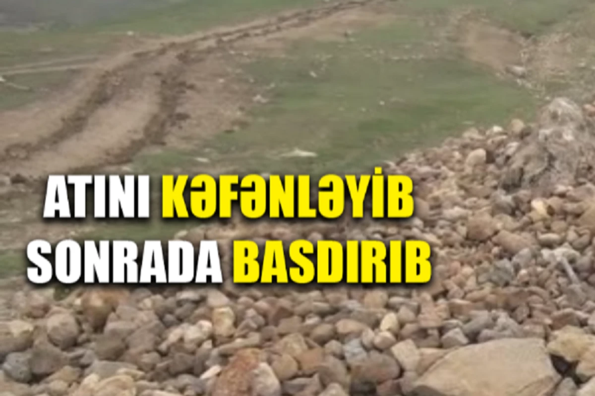 Quba sakini atını kəfənləyərək dəfn edib – VİDEO