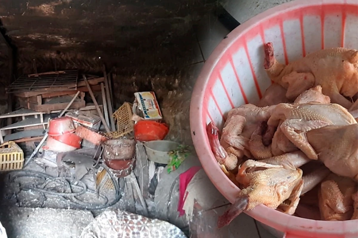 Azərbaycanda iyrənc mənzərə - Bu toyuqları bizə yedizdirirlər – FOTO