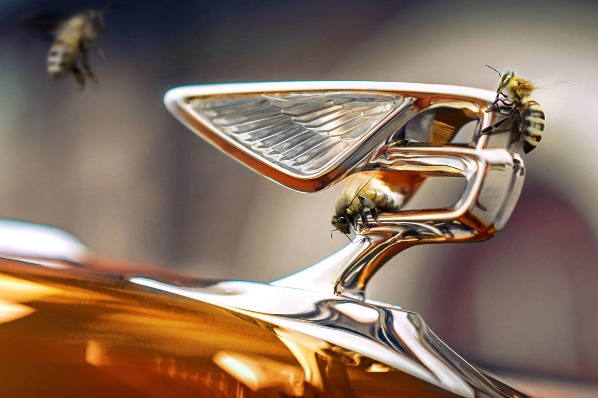 Bentley занялась производством меда