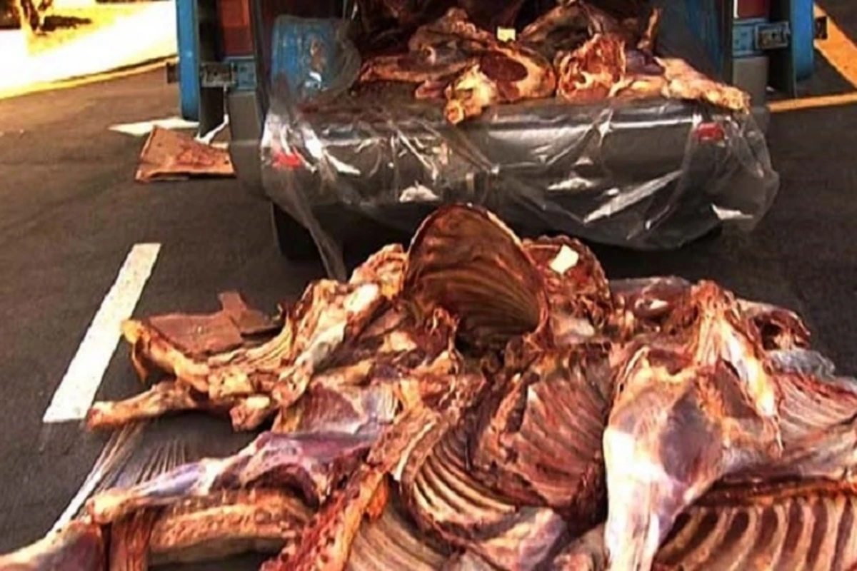 В Баку предотвращена продажа крупной партии непригодного к употреблению мяса - ФОТО