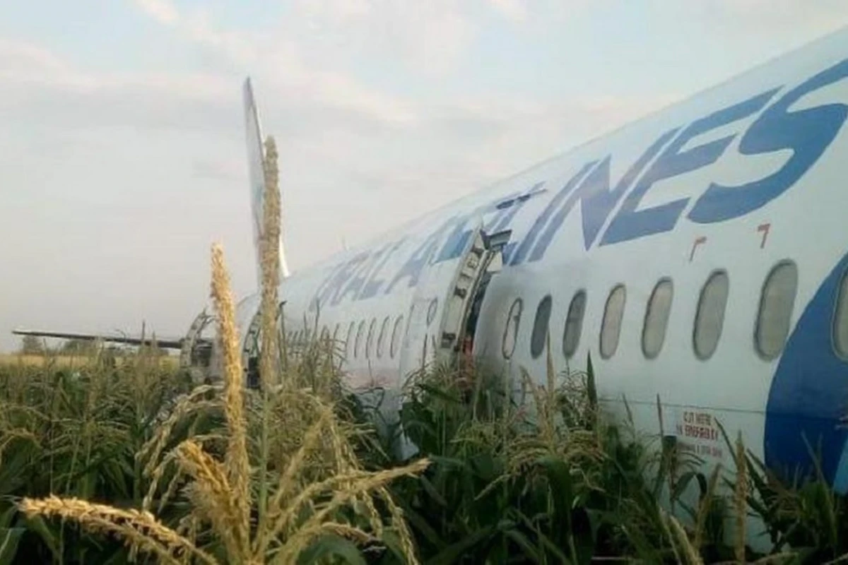 226 sərnişin daşıyan təyyarə qarğıdalı sahəsinə düşdü - VİDEO