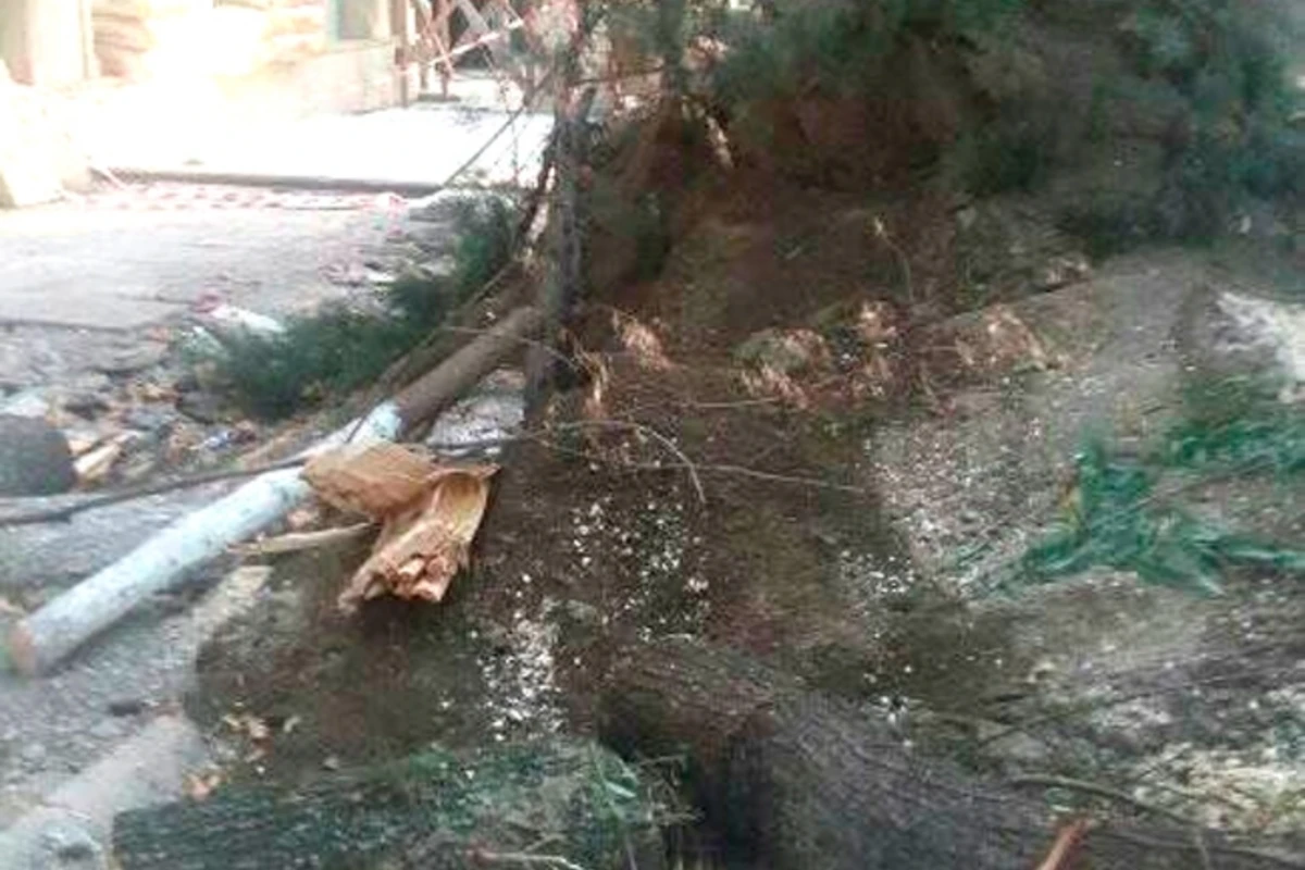 BAKU.WS-in qaldırdığı problem həll edildi – Günahkar cəzalandırıldı - RƏSMİ