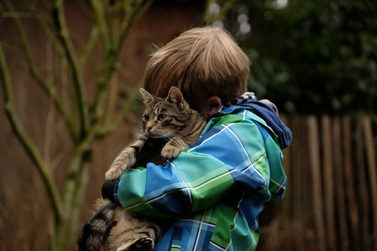 В Баку 8-летний мальчик сгорел из-за котенка