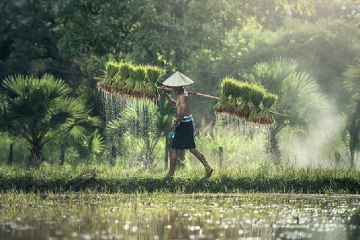 В Таиланде нашли 128-летнего долгожителя - ФОТО
