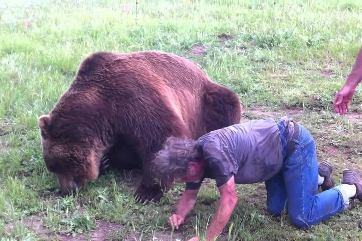 В Канаде мужчину оштрафовали за драку с медведем гризли