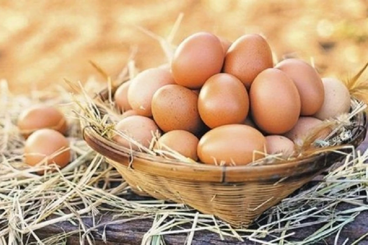 Yumurta bahalaşdı Yumurta bahalaşdı