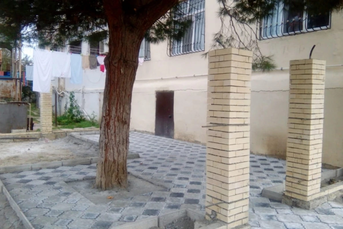 Bakıda ağacın dibini betonlayan şəxs aşkarlanıb - FOTO