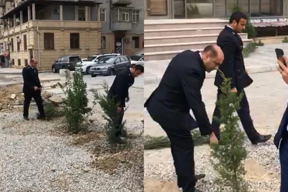 Bakıda ağac təxribatına dövlət qurumlarından - RƏSMİ AÇIQLAMA - VİDEO Bakıda ağac təxribatına dövlət qurumlarından - RƏSMİ AÇIQLAMA - VİDEO