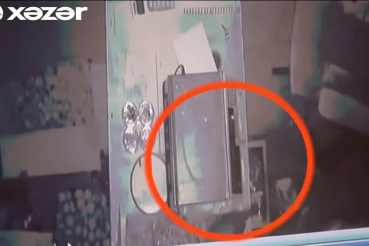 Azərbaycanda siçan mağazadan 324 manat pul apardı - VİDEO