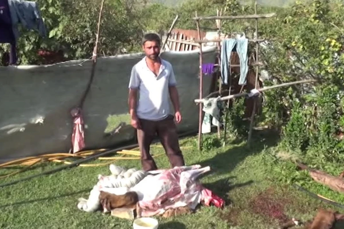 “Leş Tofiq”dən sonra “Leş Elgün” də ələ keçdi - VİDEO “Leş Tofiq”dən sonra “Leş Elgün” də ələ keçdi - VİDEO