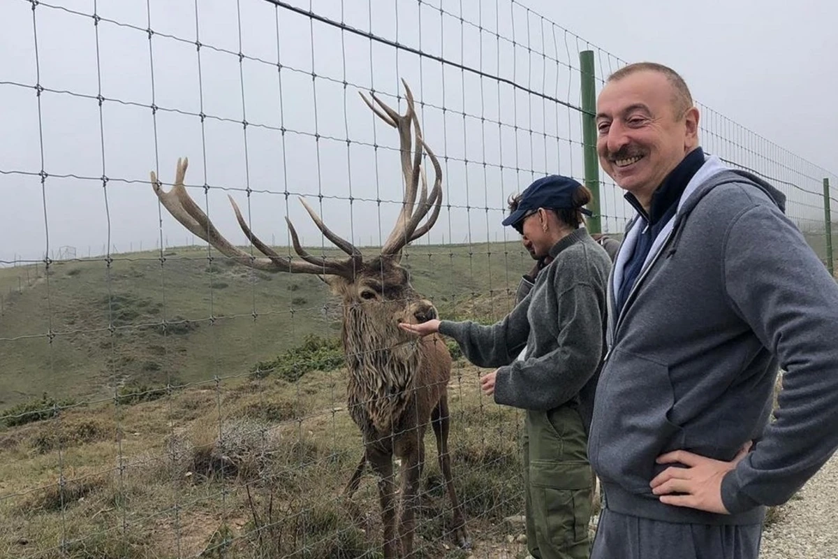 Президент Ильхам Алиев вместе с семьей посетил один из районов Азербайджана -  ФОТО