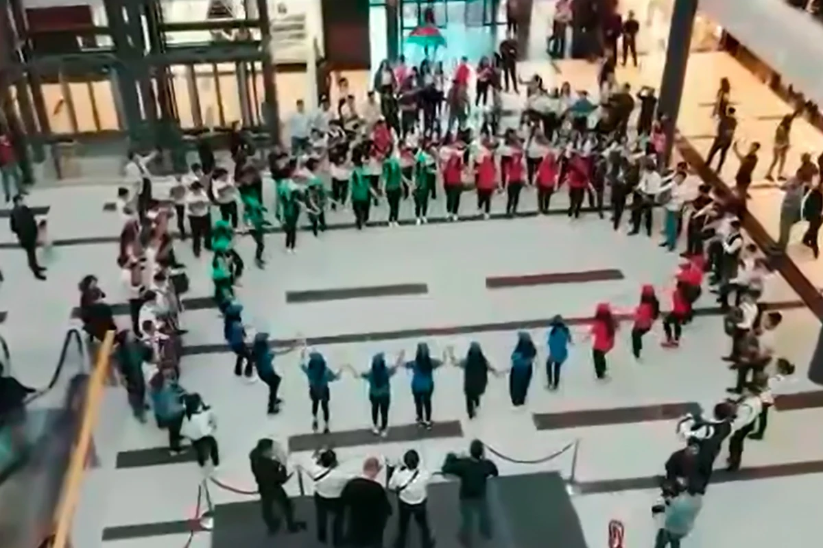 Musiqiçilərin ifasında fləşmob hazırlandı - VİDEO