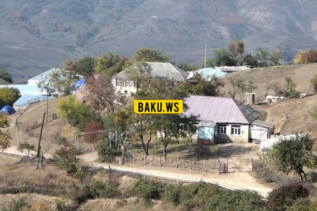 Azərbaycanın kəndlərində iribuynuzlu heyvanları kütləvi qırılır - FOTO