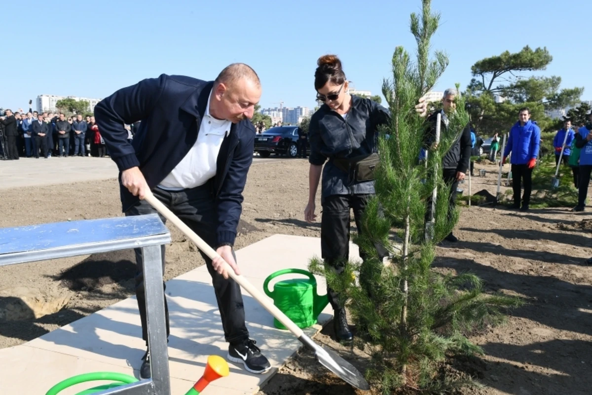 Prezident və xanımı ağacəkmə aksiyasında - FOTO (YENİLƏNİB)