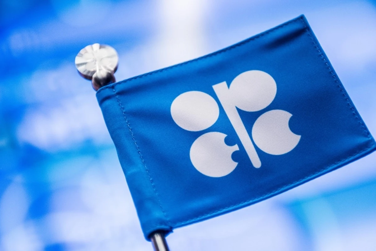 OPEC gələn il ciddi çətinliklə üzləşəcək OPEC gələn il ciddi çətinliklə üzləşəcək
