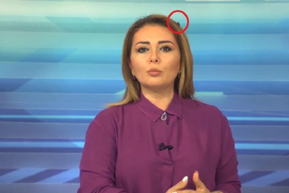 ATV-nin məşhur aparıcısının canlı yayımda milçəklə sınağı - VİDEO ATV-nin məşhur aparıcısının canlı yayımda milçəklə sınağı - VİDEO