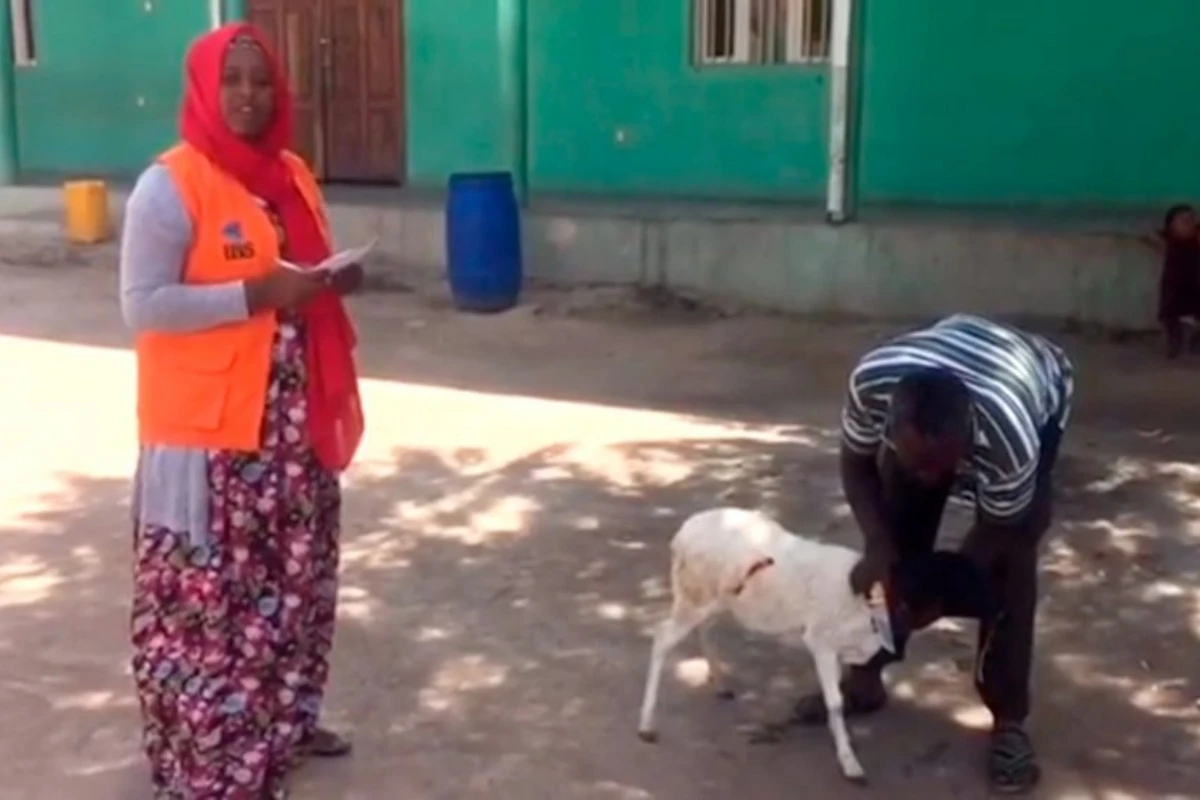 Xuraman Şuşalı 4-cü övladına Afrikada qurban kəsdirdi - VİDEO Xuraman Şuşalı 4-cü övladına Afrikada qurban kəsdirdi - VİDEO