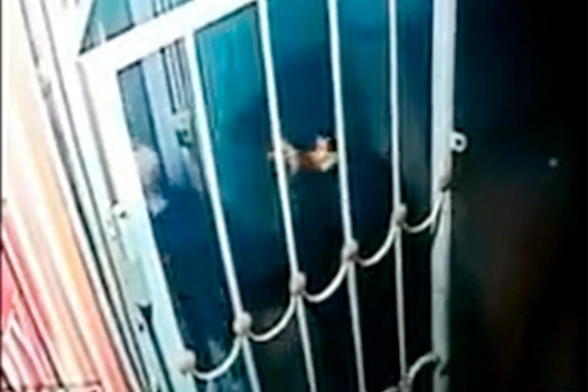 Bakıda qara paltarlı adam mağazaya 3500 manatlıq ziyan vurdu - VİDEO Bakıda qara paltarlı adam mağazaya 3500 manatlıq ziyan vurdu - VİDEO