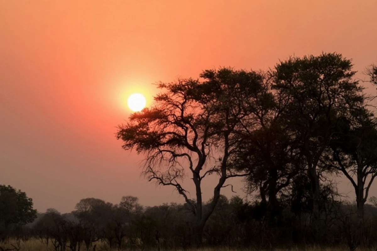 Təhlükəsiz istirahət vəd edən Afrika ölkələri - SİYAHI Təhlükəsiz istirahət vəd edən Afrika ölkələri - SİYAHI