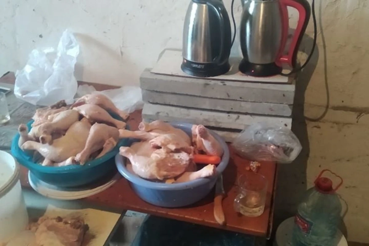 В Азербайджане пресечена попытка поставки непригодного куриного мяса в донерные - ФОТО